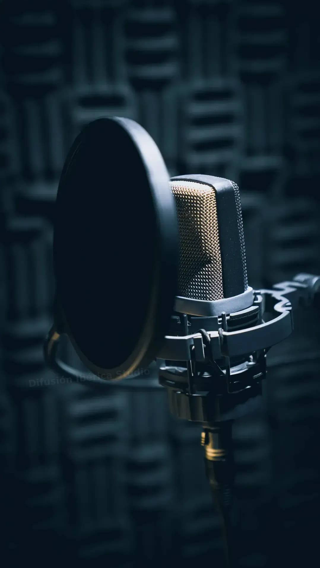 Difusión Ibérica Studio 4